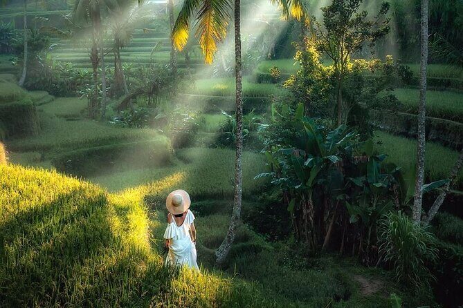 Full Day : Ubud And Tanah Lot Temple Tours - The Authentic Experience