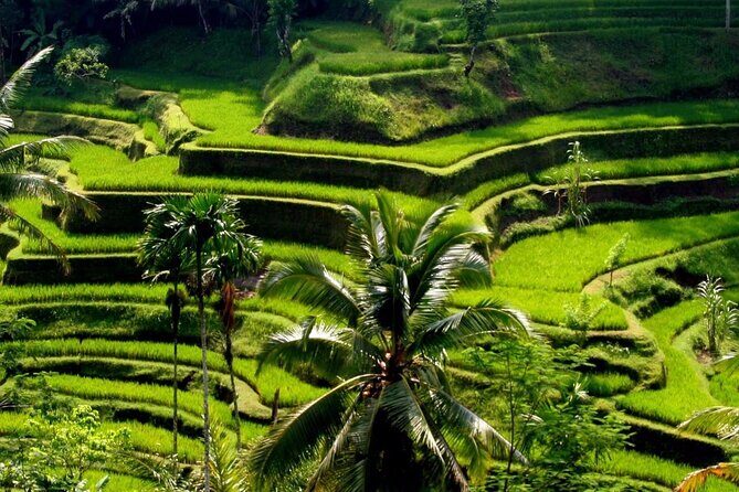 Full Day : Ubud And Tanah Lot Temple Tours - FAQ