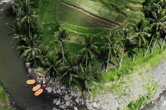 Full day Ubud Tour Bali Rafting, Monkey Forest and Rice Terrace - What’s Not Included