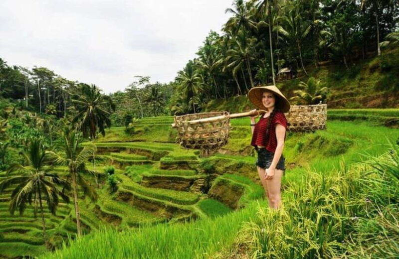 full-day-ubud-tours-all-inclusive