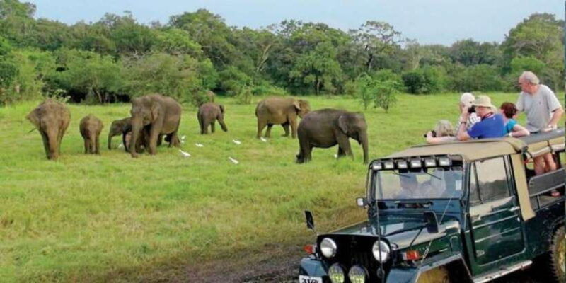 full-day-udawalawe-safari-adventure-with-lunch-private