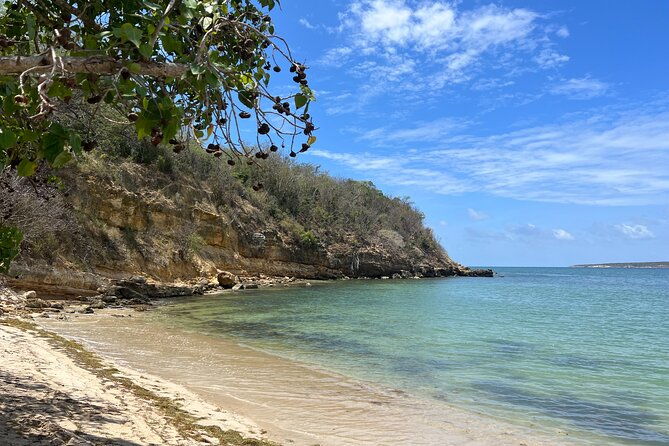 full-day-vamos-pa-la-isla-southwest-experience