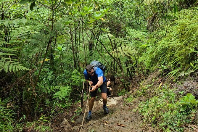full-day-vara-blanca-hike-tour