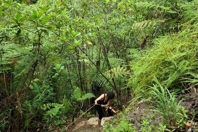 full-day-vara-blanca-hike-tour