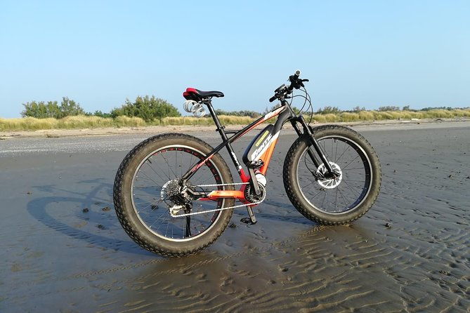 full-day-venice-e-bike-rental