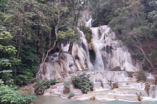 Full Day Visit & Cook at Local family' farm and Hiking to Kuang si waterfalls - An In-Depth Look at the Tour Experience