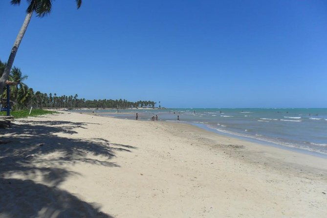 full-day-visit-to-paripueira-beach-and-tide-pools-in-maceio