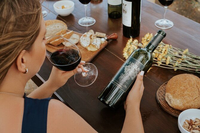 full-day-visit-to-vineyard-and-premium-tasting-in-san-miguel
