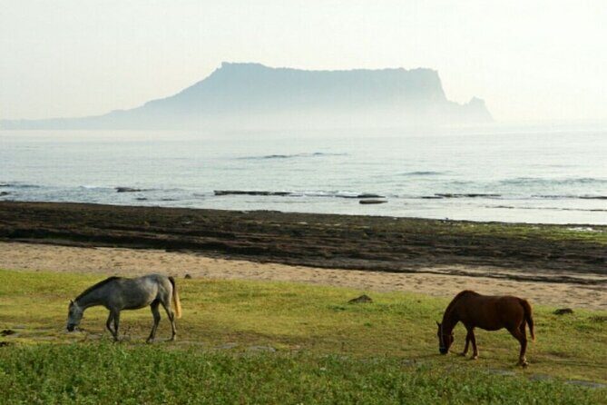 Full-Day Visiting Jeju Island Private Tour with Lunch in jeju - Final Thoughts: Why Choose This Tour?