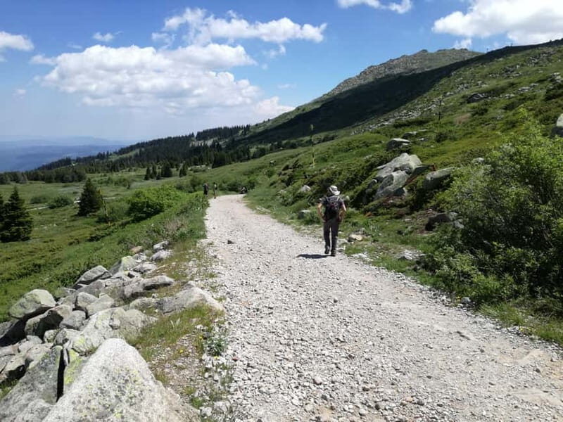 Full-Day Vitosha and Cherni Vruh Peak Hiking Tour - FAQ