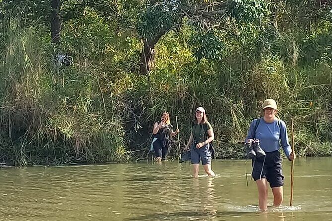 Full Day walking safari at Bardia National Park With LUNCH &GUIDE - The Itinerary in Detail