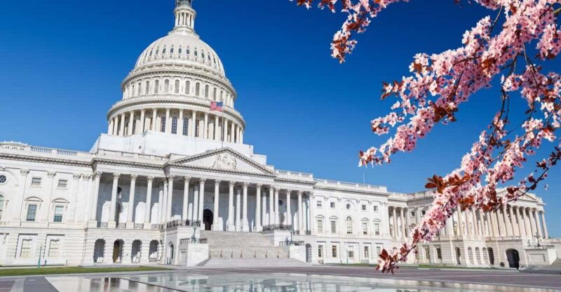 full-day-washington-dc-mount-vernon-tour