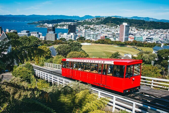 Full Day Wellington Tour - Including maoritanga - Key Points