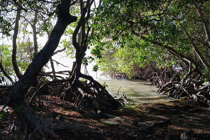 full-day-west-coast-adventure-in-puerto-rico