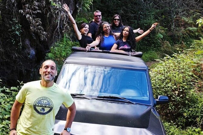 full-day-west-tour-to-porto-moniz-pools-and-fanal-forest