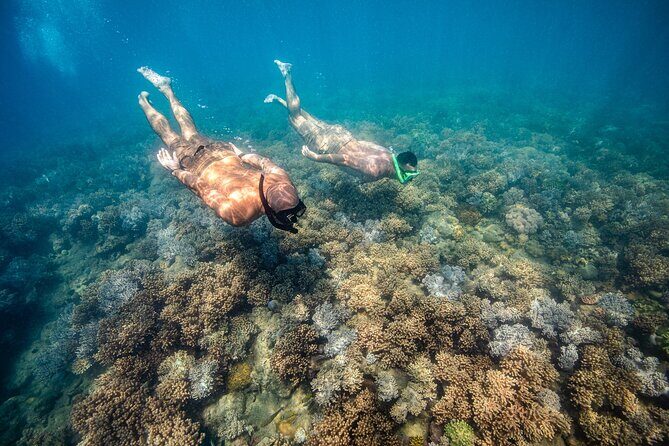 Full-Day Whitsunday Sail and Snorkel Adventure with Lunch - Who Would Love This Tour?