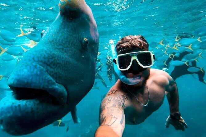 Full-Day Whitsunday Sail and Snorkel Adventure with Lunch - The Sum Up