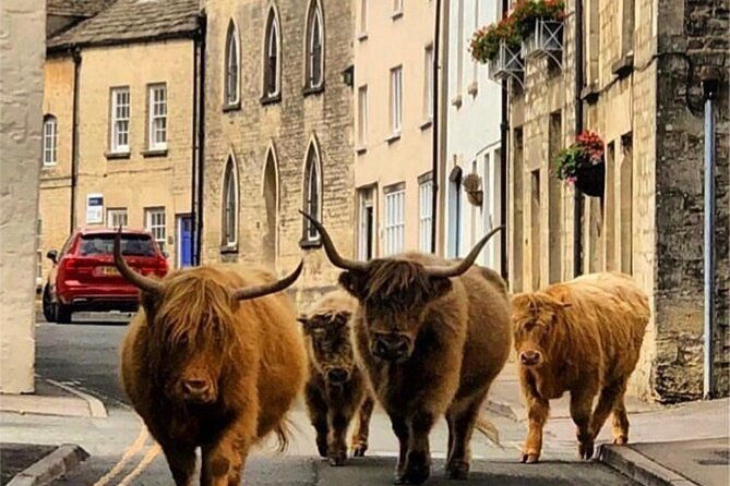 full-day-windsor-castle-cotswolds-driving-tour