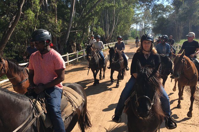 Full Day  Wine Tasting Horse Trail - A Closer Look at the Tour Experience