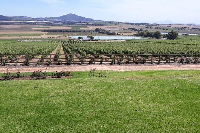 Full Day Wine Tasting in Stellenbosch, Franschoek & Paarl fees included - Why This Tour Stands Out
