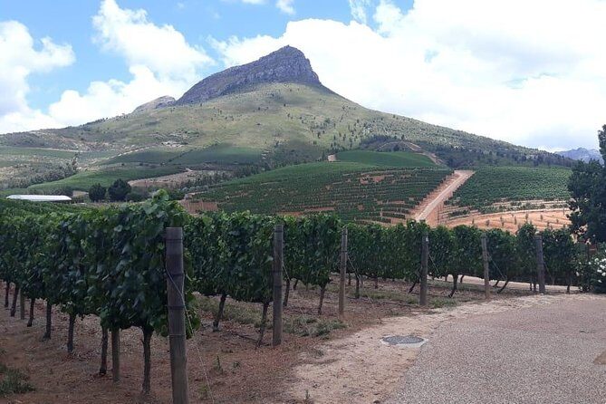 Full Day Wine Tasting in Stellenbosch, Franschoek & Paarl fees included - FAQ