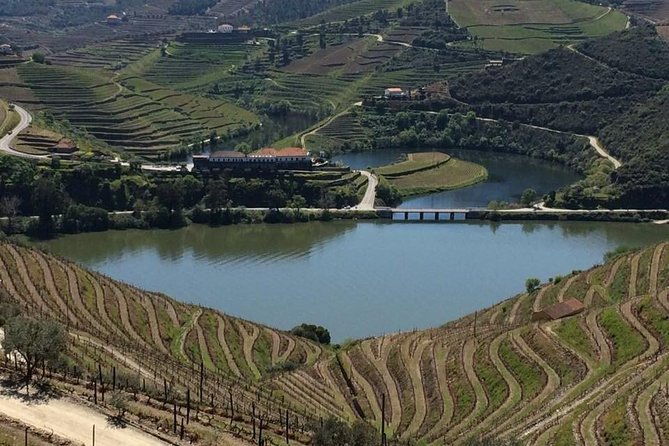 full-day-wine-tasting-river-cruise-and-lunch-from-porto
