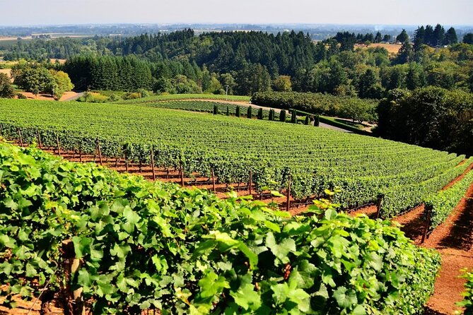 full-day-wine-tasting-tour-in-athens-with-visit-to-cape-sounio