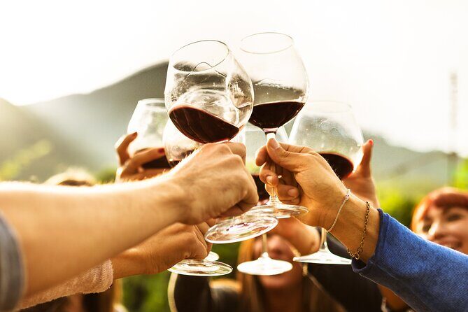 Full-Day Wine Tasting Tour in Auckland with 3-Course Vineyard Lunch - What Reviewers Say: Authentic Insights