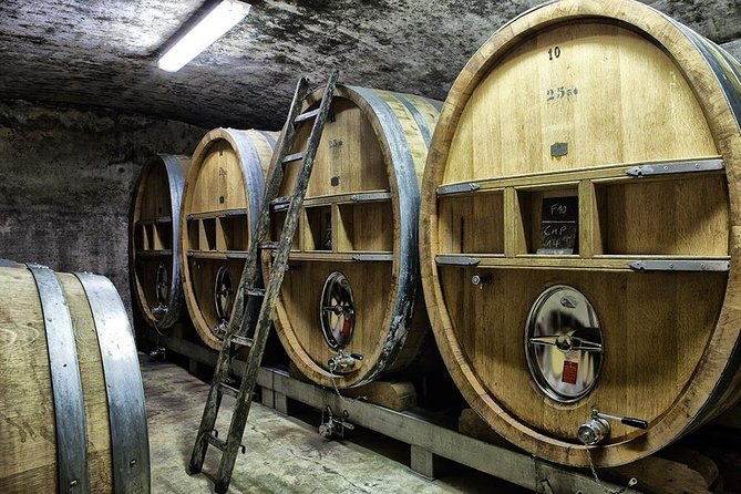full-day-wine-tour-around-bandol-cassis-from-marseille