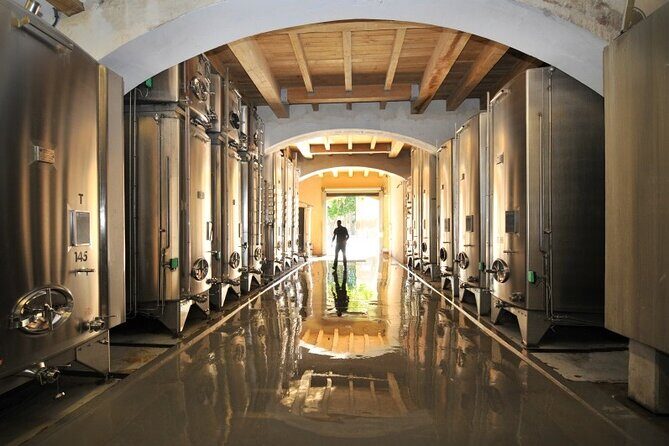 Full day Wine Tour around Luberon from Aix en Provence - An Overview of the Full-Day Luberon Wine Tour  