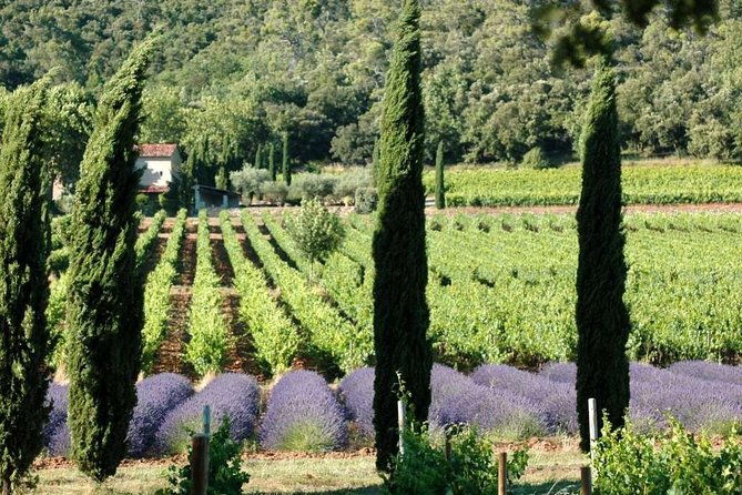 full-day-wine-tour-around-luberon-from-marseille