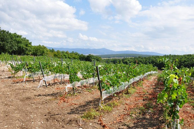 full-day-wine-tour-from-istanbul