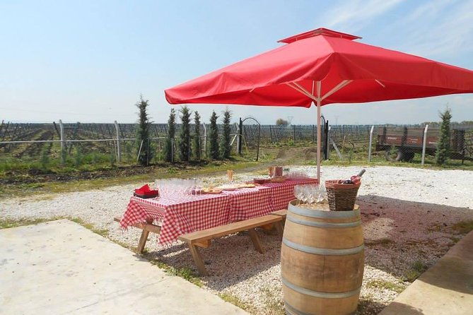 full-day-wine-tour-from-istanbul