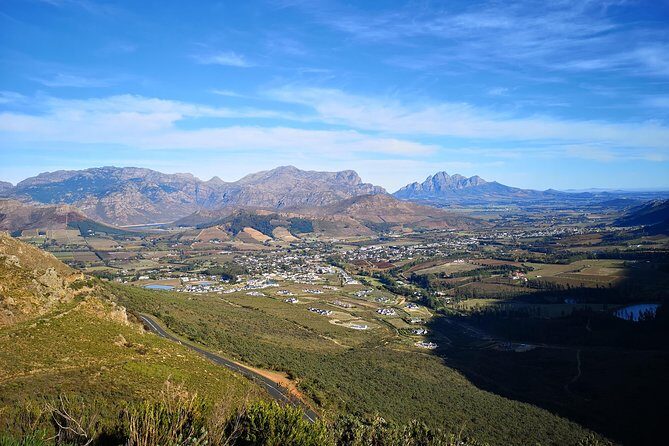 Full-Day Wine Tour from Stellenbosch - The Day in Detail: What to Expect