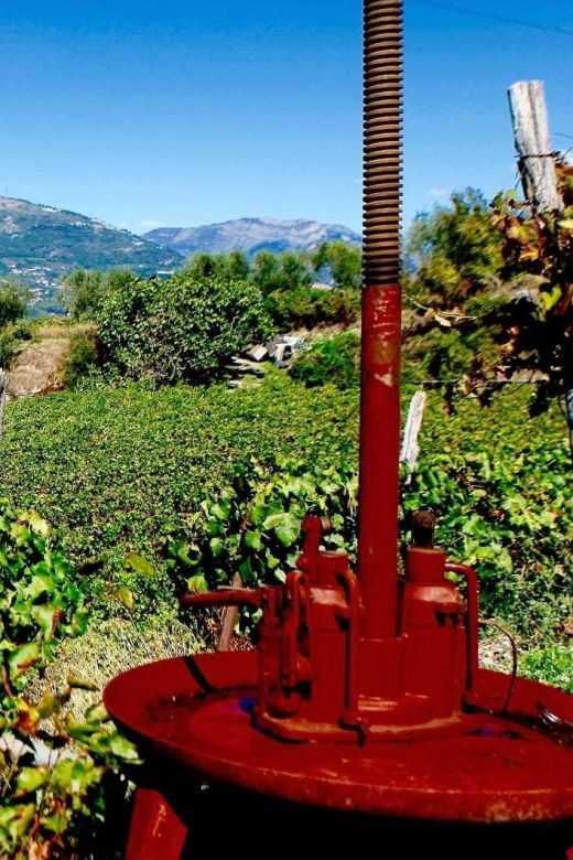 full-day-wine-tour-in-bellet-saint-paul-de-vence-from-nice