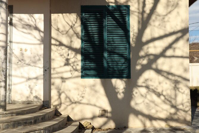 full-day-wine-tour-in-mtskheta-georgia