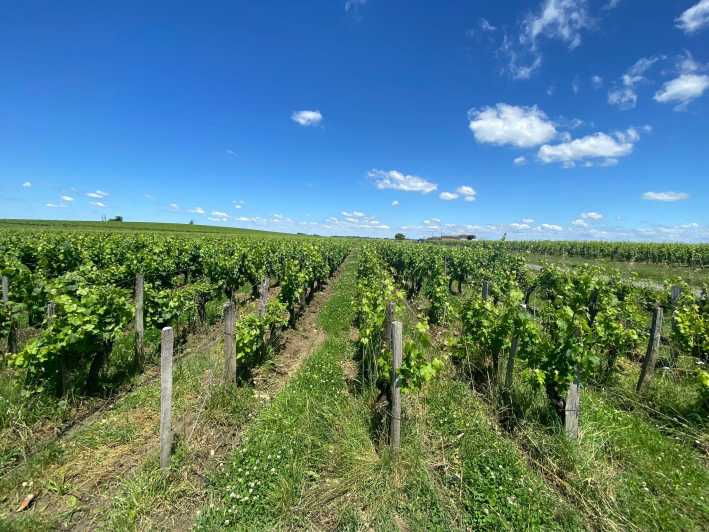 full-day-wine-tour-in-saint-emilion-margaux