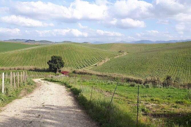 full-day-wine-tour-in-western-sicily-2