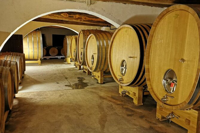 full-day-wine-tour-of-the-cassis-vineyards-2
