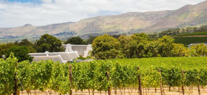 Full day Winelands Tour - A Practical Look at the Full Day Winelands Tour