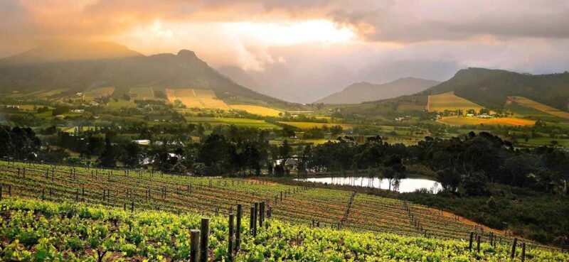 Full day Winelands Tour - FAQ