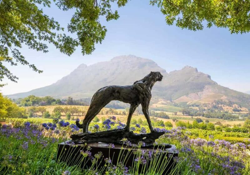 Full Day Winelands Tour With Wine Tasting from Cape Town - An Introduction to South Africa’s Winelands Experience