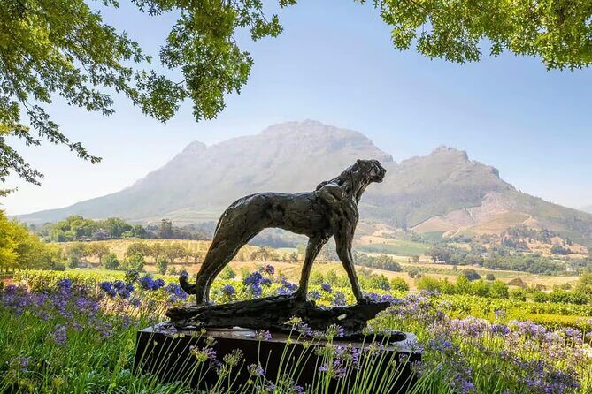Full Day Winelands Tour With Wine Tasting from Cape Town - Introduction