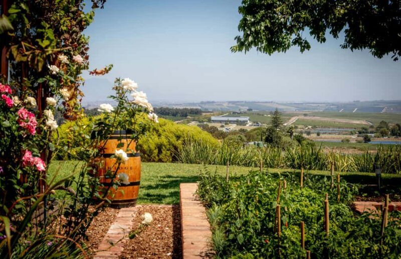 Full Day Winelands Tours - Exploring the Winelands in Depth