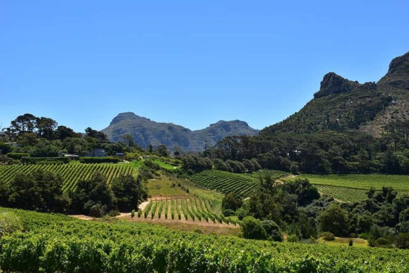 Full Day Winelands Tours - Final Thoughts