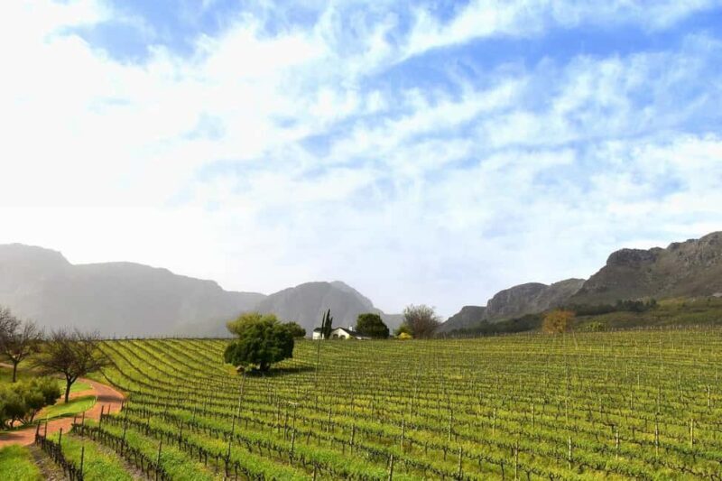 Full Day Winelands Tours - FAQ