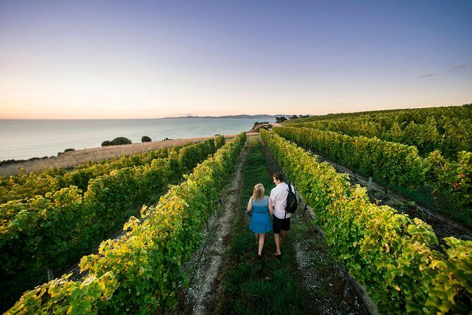 Full Day Winemakers Tour in Marlborough - Exploring the Itinerary