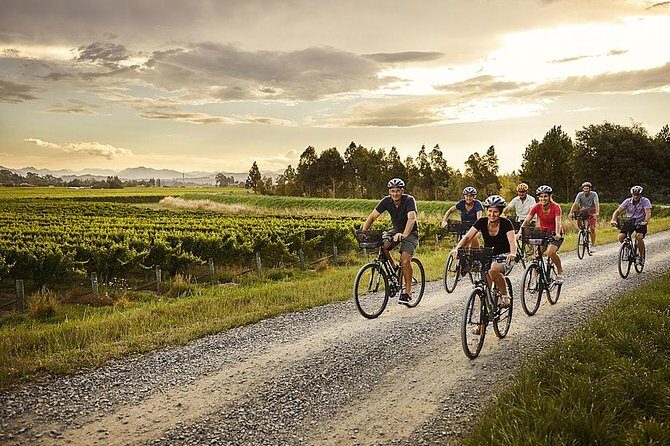 Full Day Winemakers Tour in Marlborough - Final Thoughts: Is This Tour Worth It?
