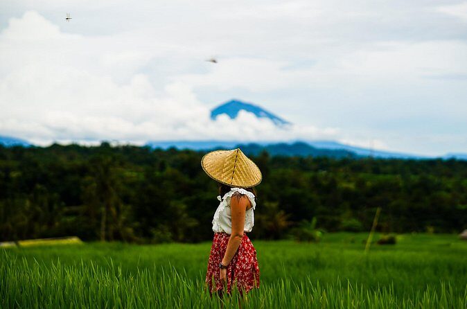 Full Day Wonders of Bali Group Tour with Pickup and Lunch - Jatiluwih Rice Terraces—A UNESCO Wonder