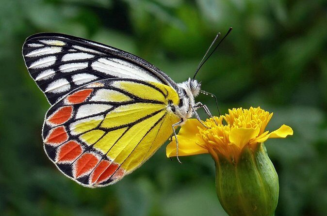 Full Day Wonders of Bali Group Tour with Pickup and Lunch - FAQ